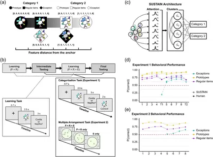 New paper on differentiation and category learning!